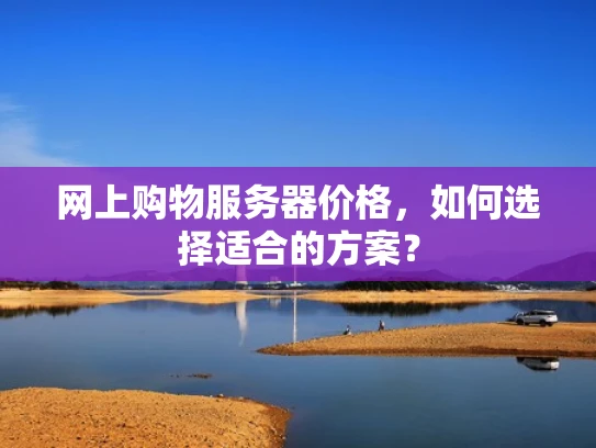 网上购物服务器价格，如何选择适合的方案？