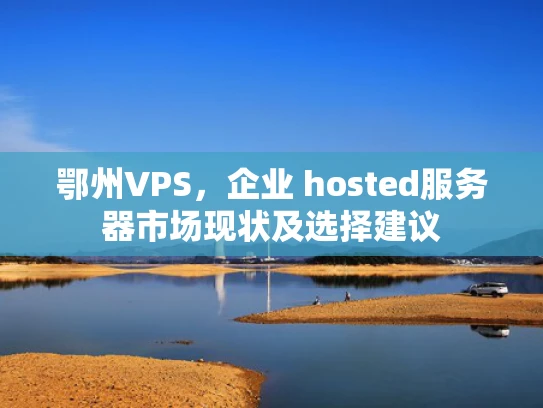 鄂州VPS，企业 hosted服务器市场现状及选择建议