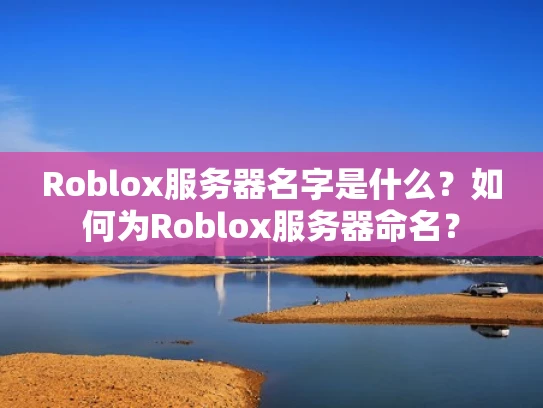 Roblox服务器名字是什么？如何为Roblox服务器命名？