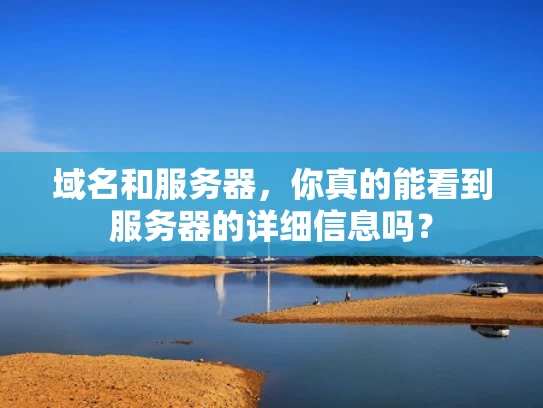 域名和服务器，你真的能看到服务器的详细信息吗？