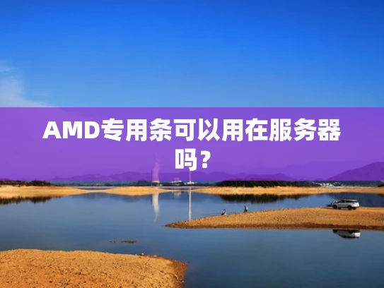 AMD专用条可以用在服务器吗？