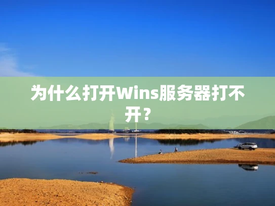 为什么打开Wins服务器打不开？