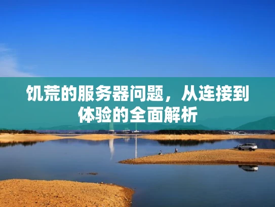 饥荒的服务器问题，从连接到体验的全面解析