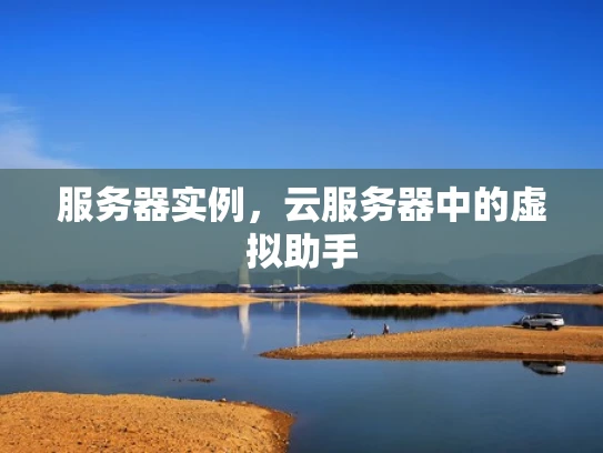 服务器实例，云服务器中的虚拟助手