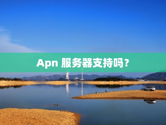Apn 服务器支持吗？