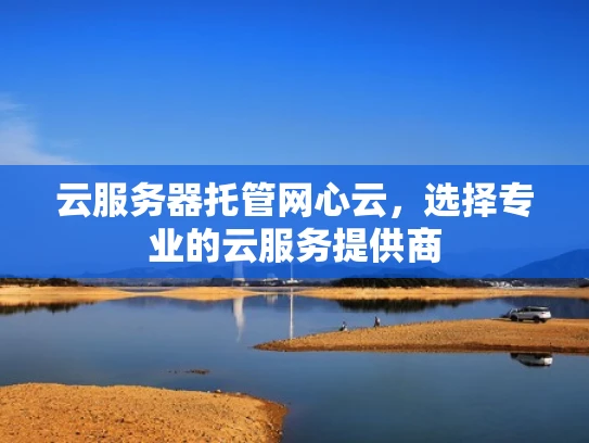 云服务器托管网心云，选择专业的云服务提供商