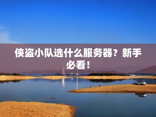侠盗小队选什么服务器？新手必看！