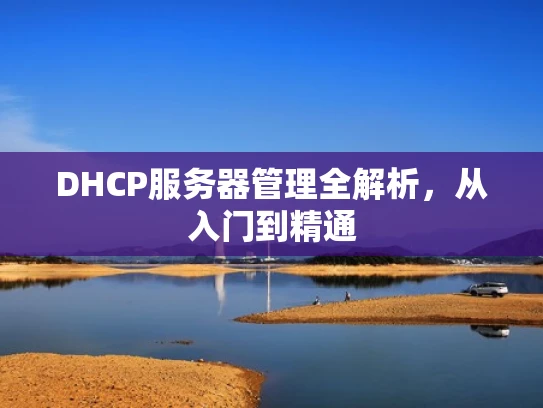 DHCP服务器管理全解析，从入门到精通