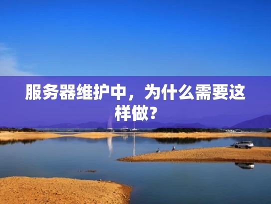 服务器维护中，为什么需要这样做？