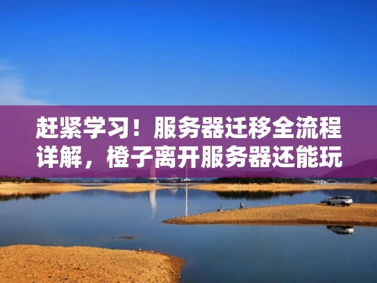 赶紧学习！服务器迁移全流程详解，橙子离开服务器还能玩吗？