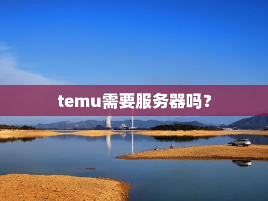 temu需要服务器吗？