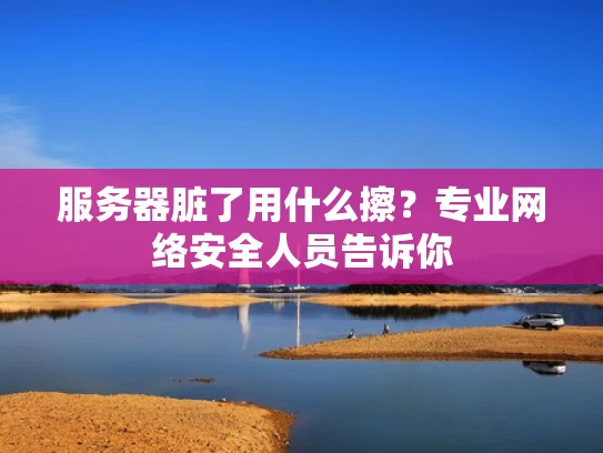 服务器脏了用什么擦？专业网络安全人员告诉你