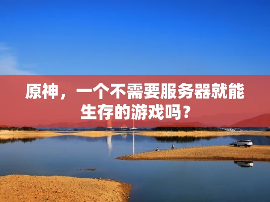 原神，一个不需要服务器就能生存的游戏吗？