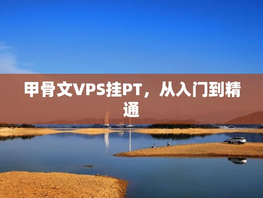 甲骨文VPS挂PT，从入门到精通