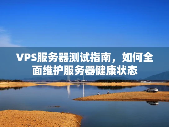 VPS服务器测试指南，如何全面维护服务器健康状态