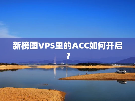新榜图VPS里的ACC如何开启？