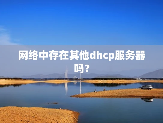网络中存在其他dhcp服务器吗？