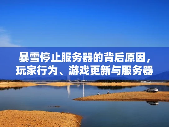 暴雪停止服务器的背后原因，玩家行为、游戏更新与服务器维护的平衡