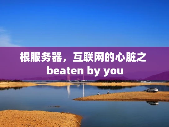 根服务器，互联网的心脏之 beaten by you