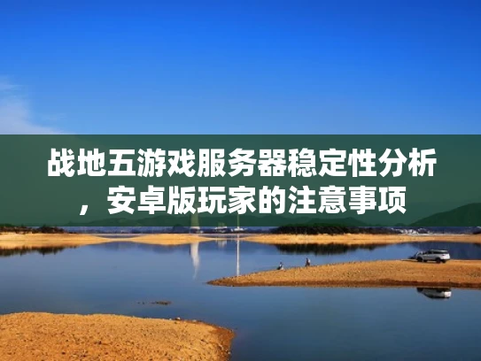 战地五游戏服务器稳定性分析，安卓版玩家的注意事项