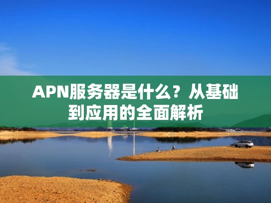 APN服务器是什么？从基础到应用的全面解析