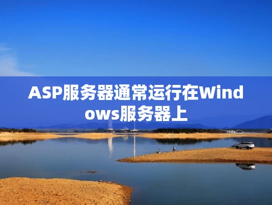 ASP服务器通常运行在Windows服务器上