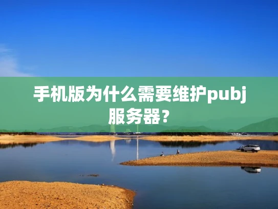 手机版为什么需要维护pubj服务器？