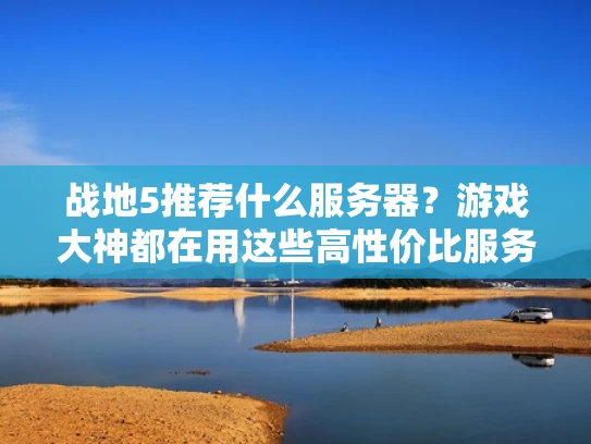 战地5推荐什么服务器？游戏大神都在用这些高性价比服务器