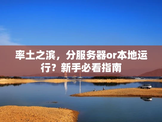 率土之滨，分服务器or本地运行？新手必看指南