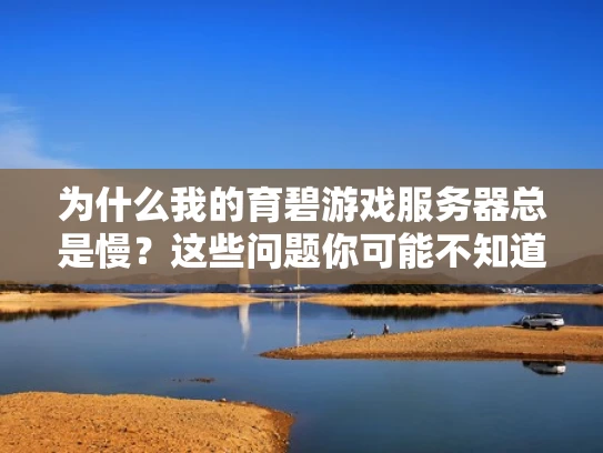 为什么我的育碧游戏服务器总是慢？这些问题你可能不知道