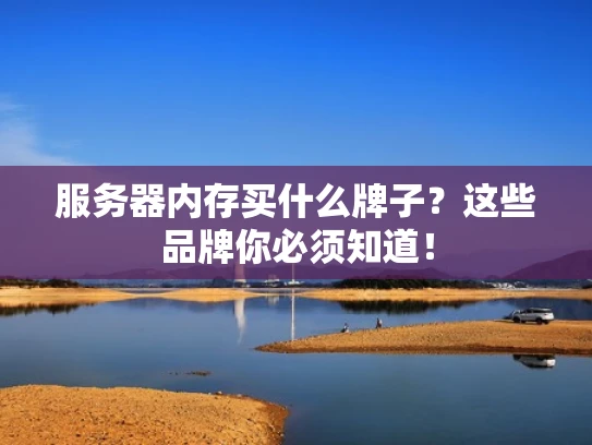 服务器内存买什么牌子？这些品牌你必须知道！