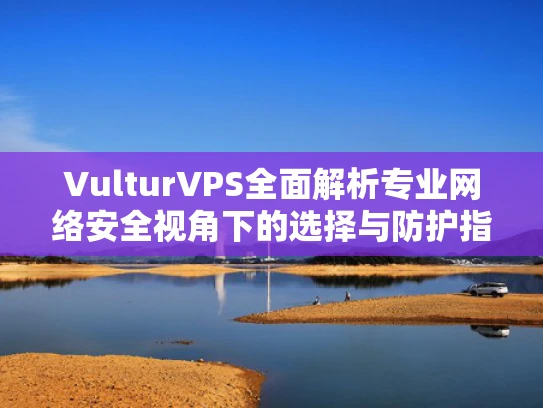 VulturVPS全面解析专业网络安全视角下的选择与防护指南