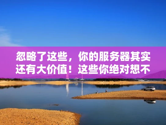 忽略了这些，你的服务器其实还有大价值！这些你绝对想不到的用途！