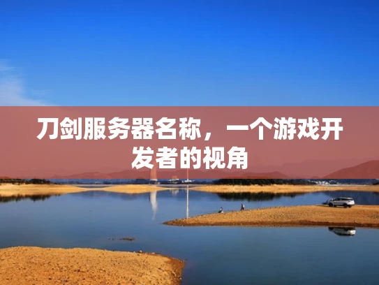 刀剑服务器名称，一个游戏开发者的视角