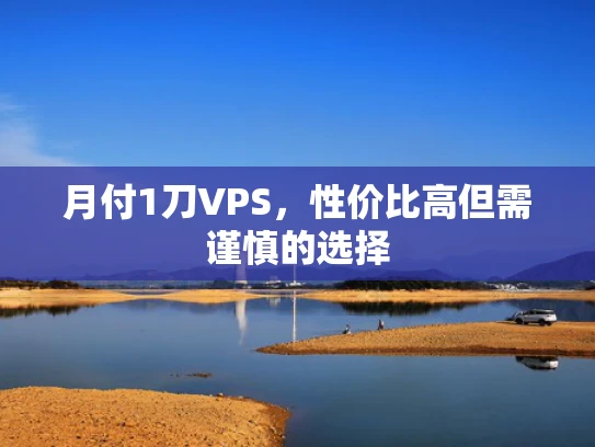 月付1刀VPS，性价比高但需谨慎的选择