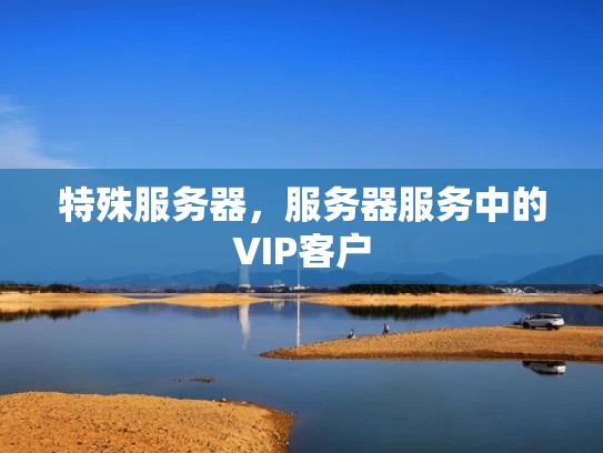 特殊服务器，服务器服务中的VIP客户