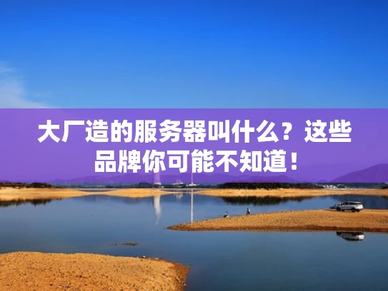 大厂造的服务器叫什么？这些品牌你可能不知道！