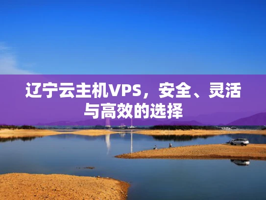 辽宁云主机VPS，安全、灵活与高效的选择