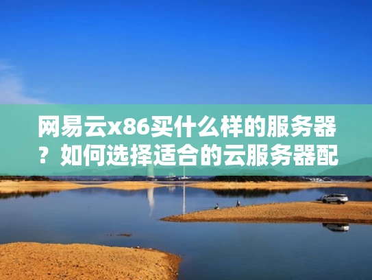 网易云x86买什么样的服务器？如何选择适合的云服务器配置