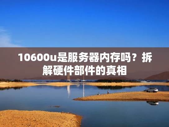 10600u是服务器内存吗？拆解硬件部件的真相