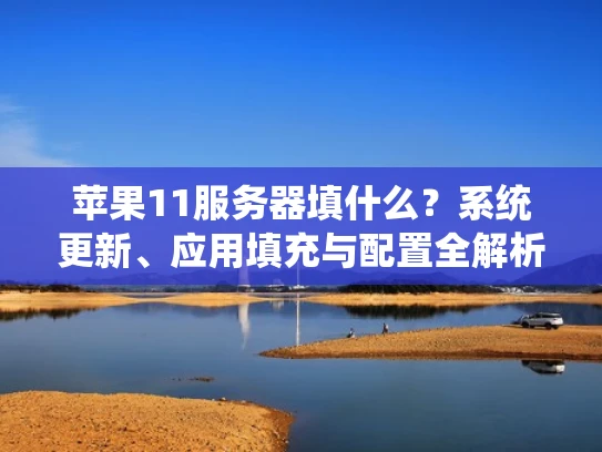 苹果11服务器填什么？系统更新、应用填充与配置全解析