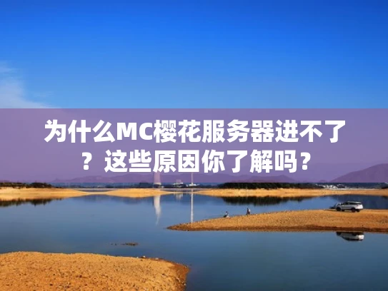 为什么MC樱花服务器进不了？这些原因你了解吗？