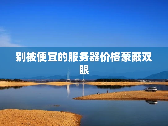 别被便宜的服务器价格蒙蔽双眼