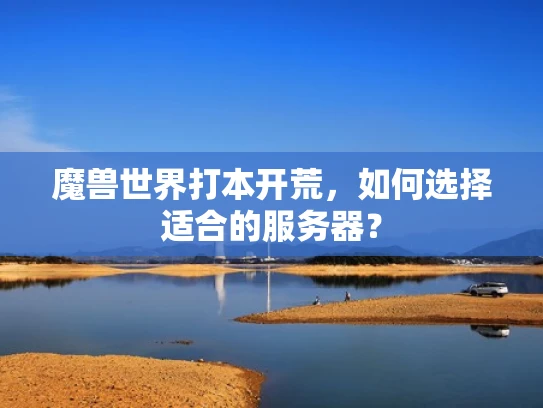 魔兽世界打本开荒，如何选择适合的服务器？