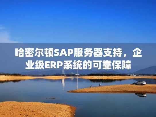 哈密尔顿SAP服务器支持，企业级ERP系统的可靠保障