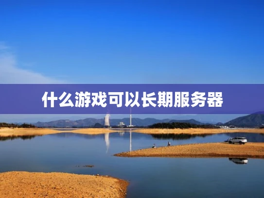 什么游戏可以长期服务器