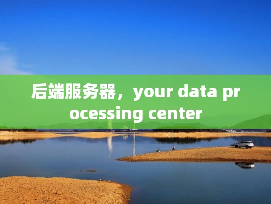 后端服务器，your data processing center