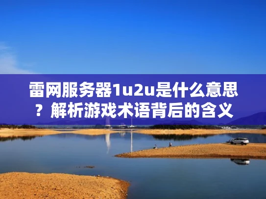 雷网服务器1u2u是什么意思？解析游戏术语背后的含义