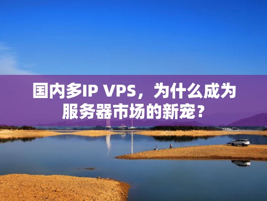 国内多IP VPS，为什么成为服务器市场的新宠？