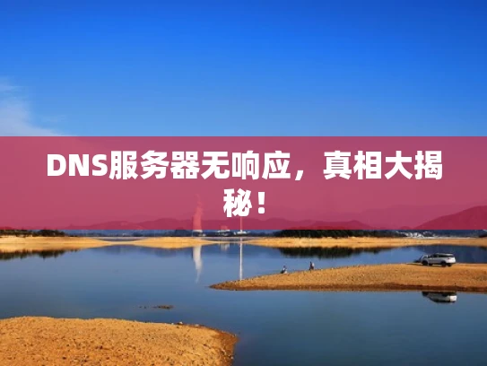 DNS服务器无响应，真相大揭秘！
